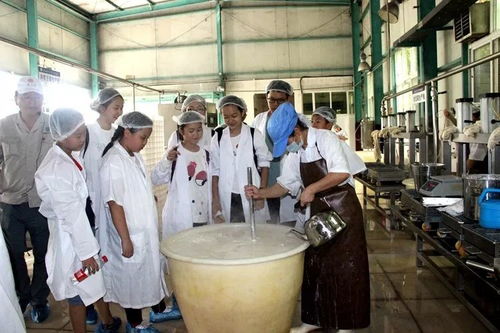 小鮮肉涌入生活公司食品廠，跨界時(shí)尚引發(fā)熱議